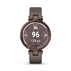 Часы 2021 года Garmin Lily classic