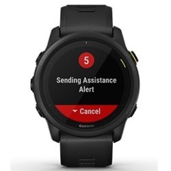 Часы для бега Garmin Forerunner 745