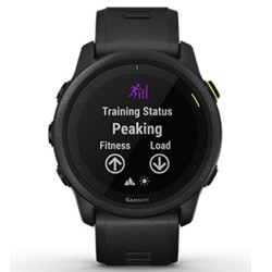 Часы Garmin Forerunner 745