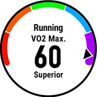 VO2 Max