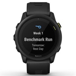 Спортивные часы Forerunner 745