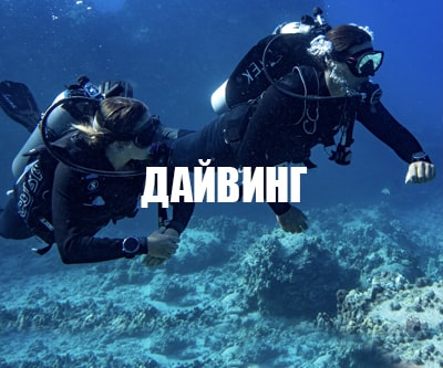 дайвинг