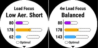 Training Load Focus