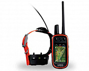 Garmin Alpha 100 с ошейником TT™ 15