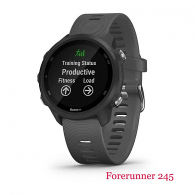 Forerunner 245 (slate gray)