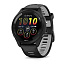 Forerunner 265 02810-10